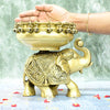 Brass Elephant Urli Bowl for Home Decor Big Size (Dia 6 Inch) Urli Stand House Entrance Living Room Floating Flowers Garden Decorative Showpiece Pot